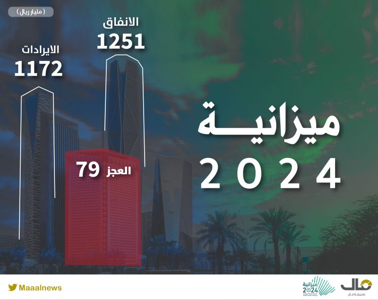 ميزانية الدولة