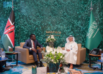 Energy Minister, Kenyan Cabinet Secretary for Energy and Petroleum Discuss Cooperation
