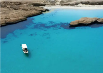Saudi Red Sea Authority Architects of the kingdom's sustainability initiatives