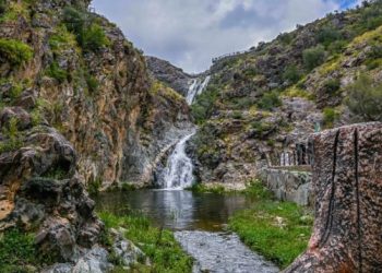 Environment Week 2024 Highlights Saudi Arabia’s Leading Role in Green Era
